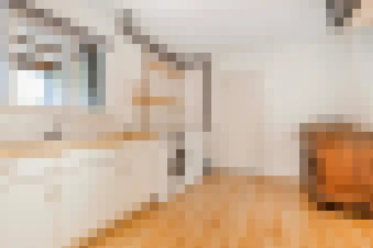 Weerkruislaan 2 Bennekom thumbnail 29