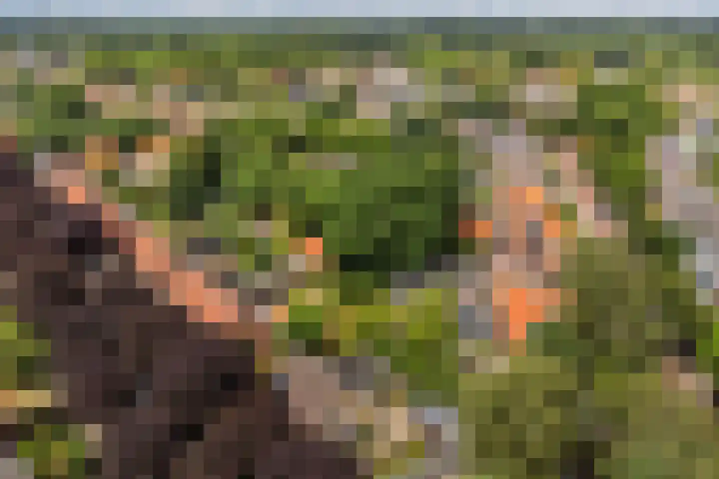 Weerkruislaan 2 Bennekom thumbnail 45