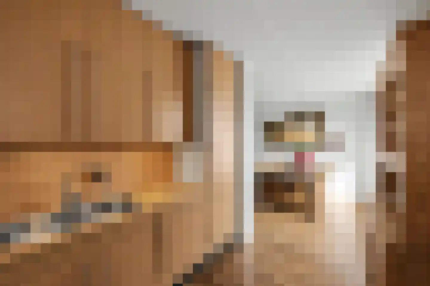 Weerkruislaan 84 Bennekom thumbnail 13