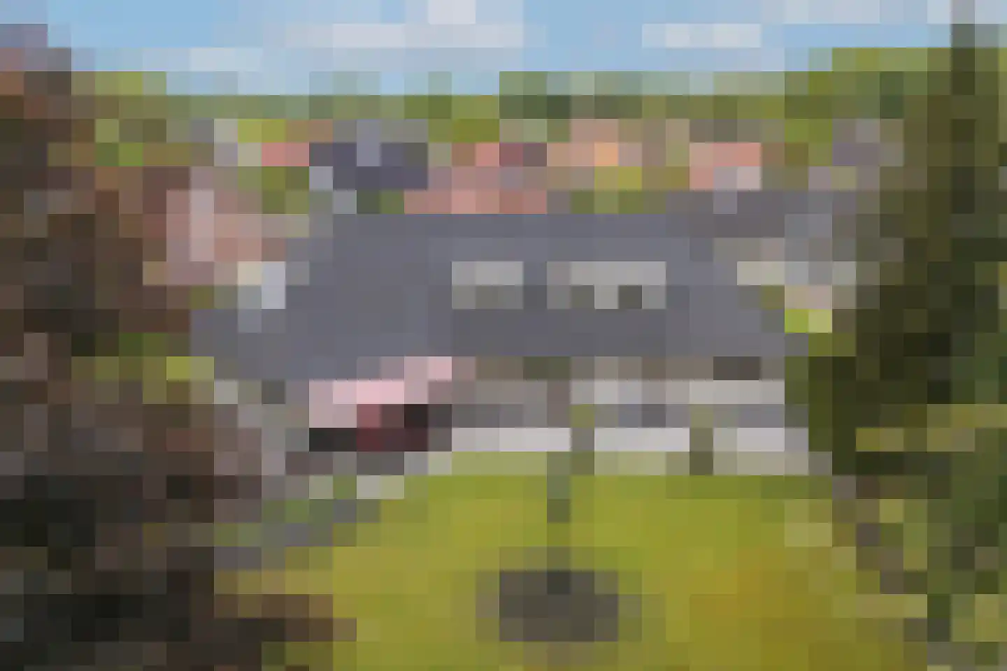 Weerninklanden 25 Enschede thumbnail 40