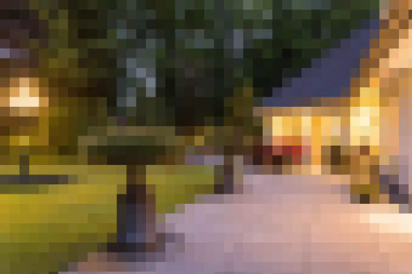 Weerninklanden 25 Enschede thumbnail 48