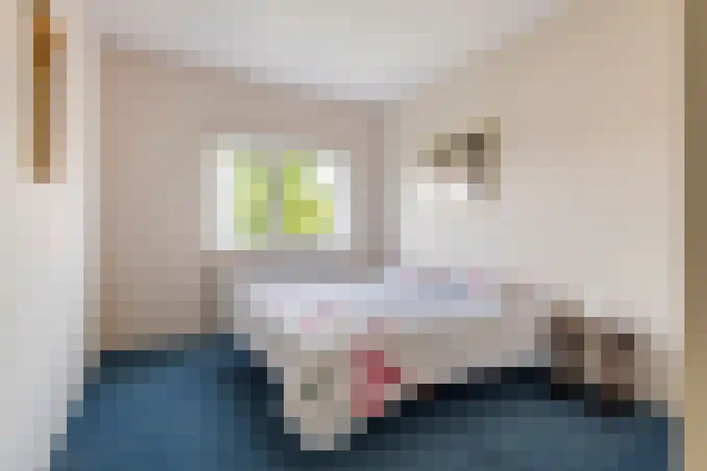 Weerpenningstraat 15 Druten thumbnail 20