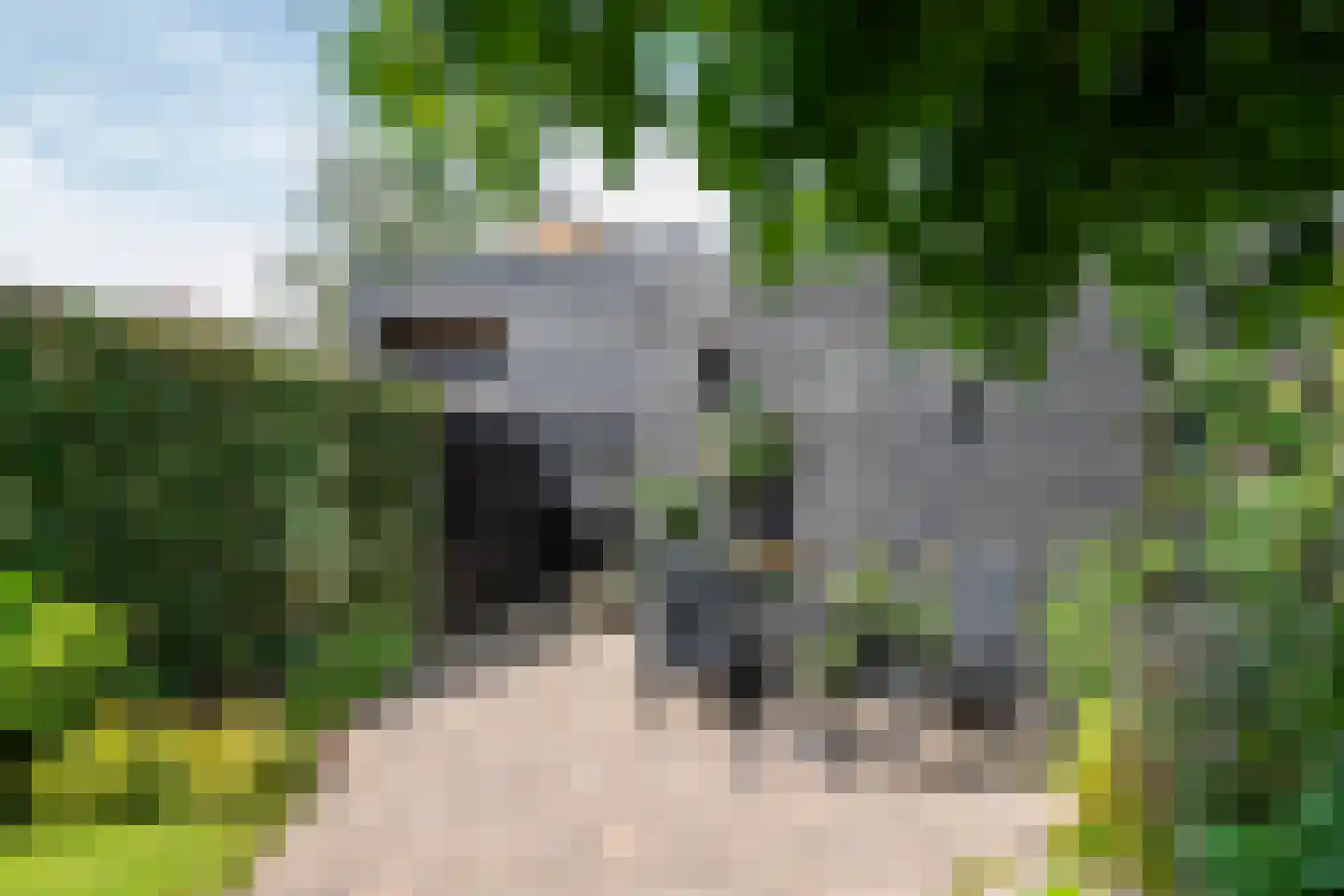 Weerpenningstraat 15 Druten thumbnail 29
