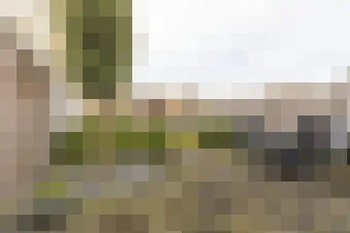 Weerreys Park 12 Zundert thumbnail 34