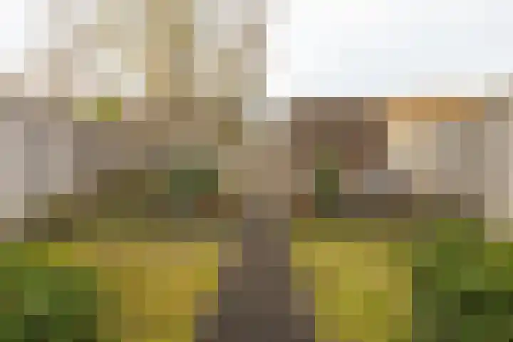 Weerreys Park 12 Zundert thumbnail 35