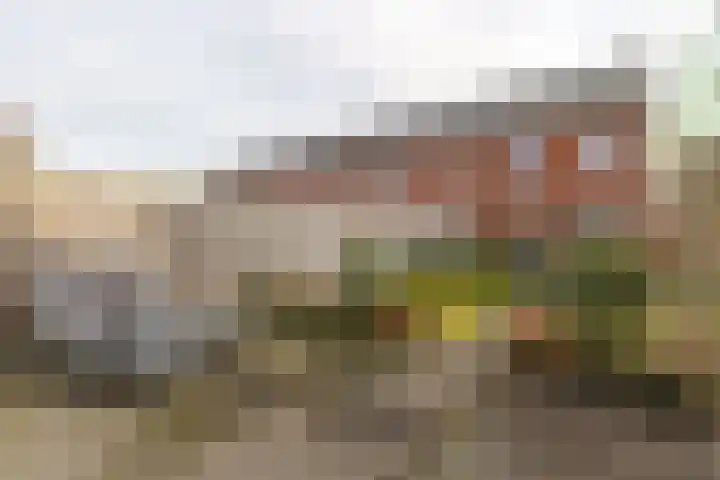 Weerreys Park 12 Zundert thumbnail 37