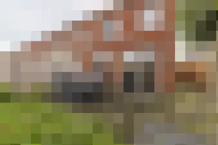 Weerreys Park 12 Zundert thumbnail 38
