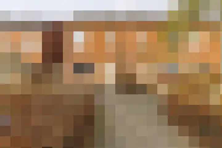 Weerreys Park 12 Zundert thumbnail 7