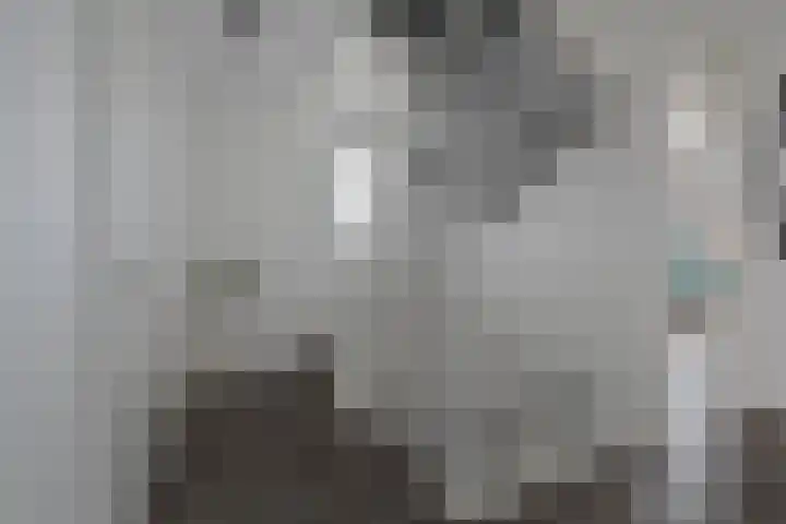Weerribben 27 Zeewolde thumbnail 14