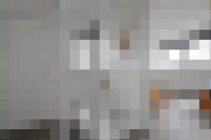 Weerribben 27 Zeewolde thumbnail 22