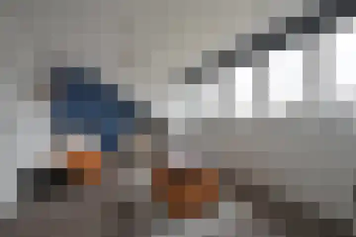 Weerribben 27 Zeewolde thumbnail 23
