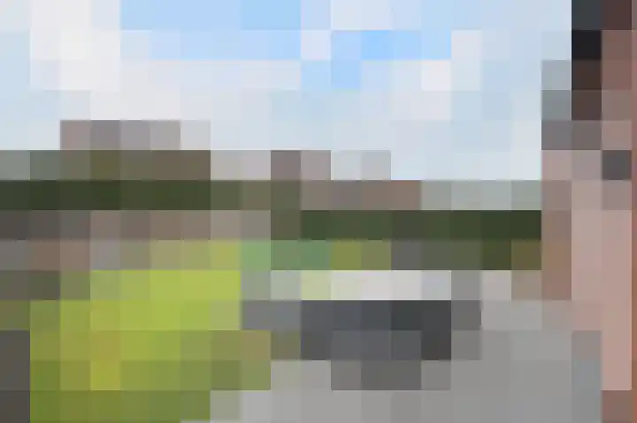Weerribben 27 Zeewolde thumbnail 29