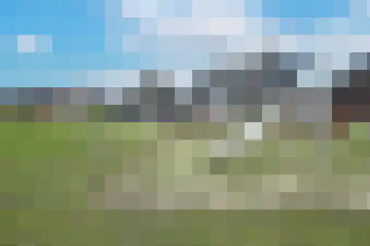 Weerribben 27 Zeewolde thumbnail 31