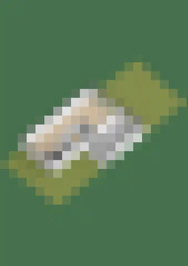 Weerribben 27 Zeewolde thumbnail 39