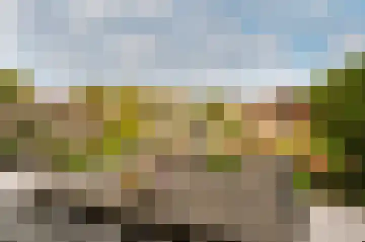 Weerribben 3 Lelystad thumbnail 32