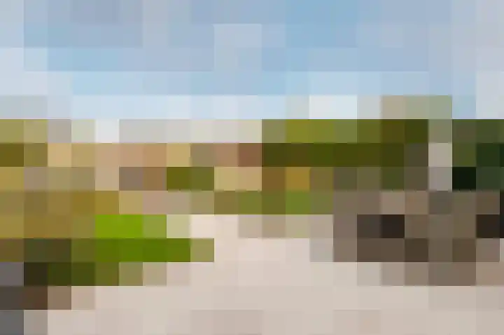 Weerribben 3 Lelystad thumbnail 33