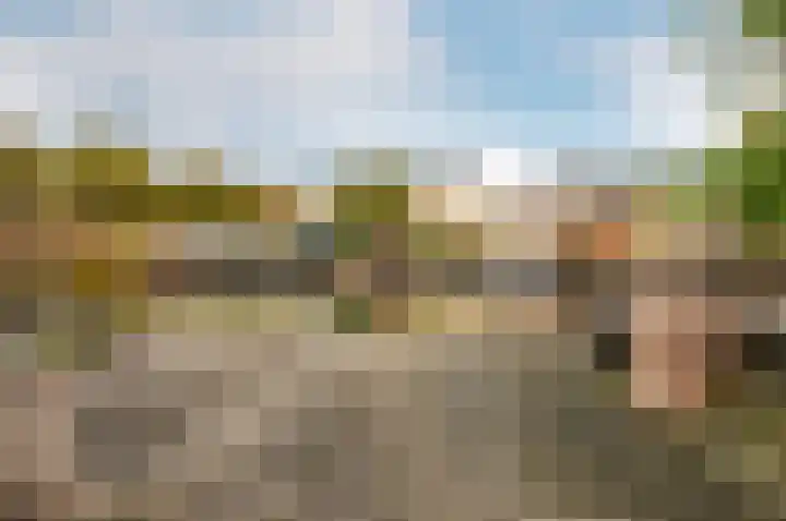 Weerribben 3 Lelystad thumbnail 34