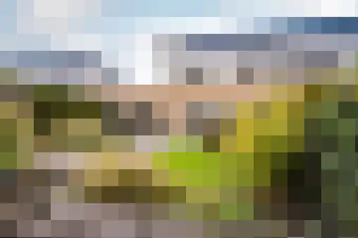 Weerribben 3 Lelystad thumbnail 38