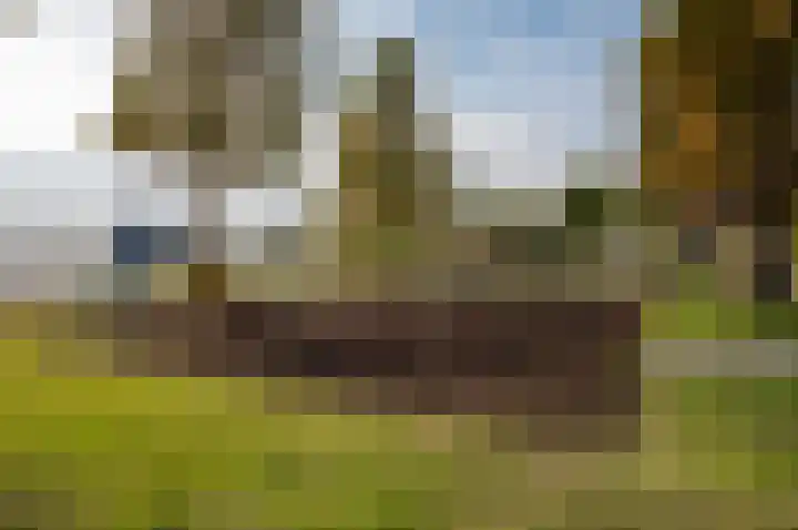 Weerribben 3 Lelystad thumbnail 47