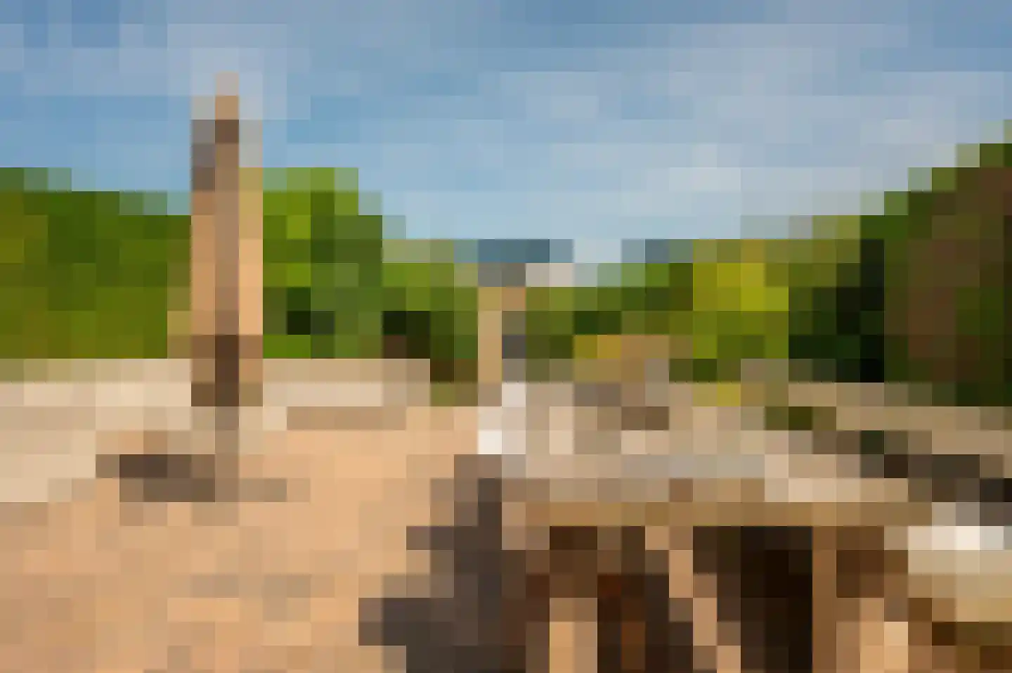 Weerribben 5 Lelystad thumbnail 29