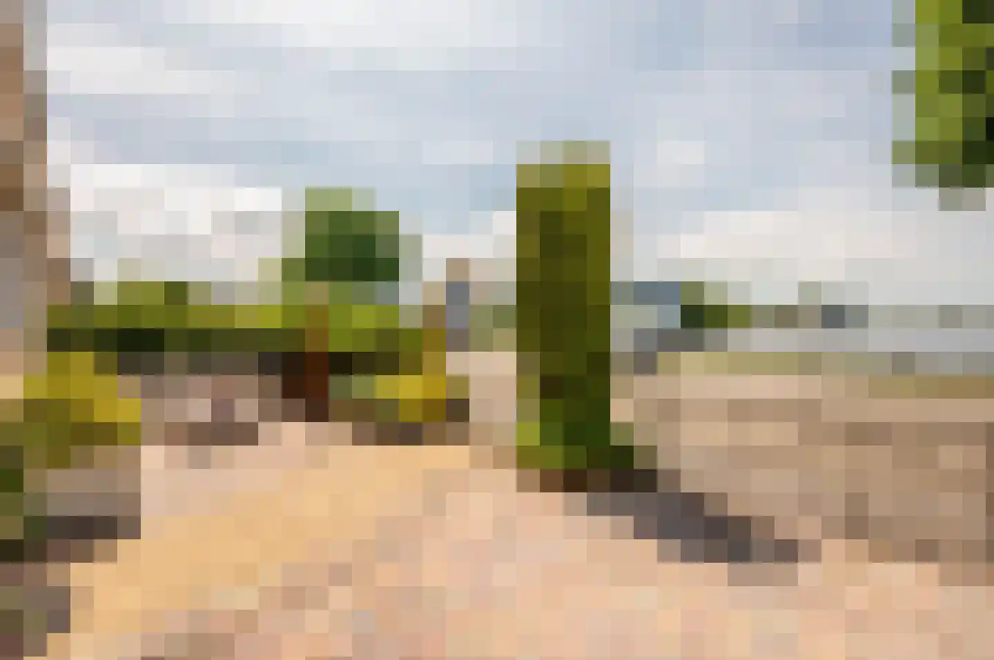 Weerribben 5 Lelystad thumbnail 36