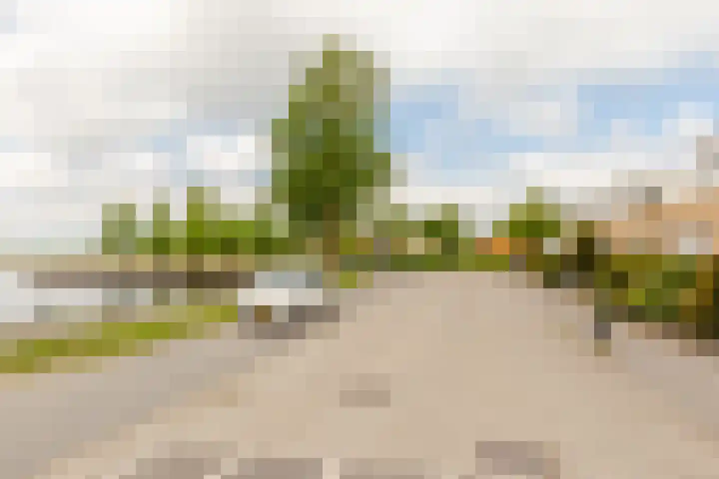 Weerribben 5 Lelystad thumbnail 40