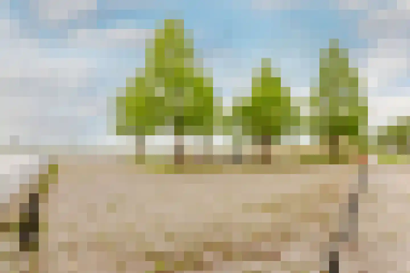 Weerribben 5 Lelystad thumbnail 42