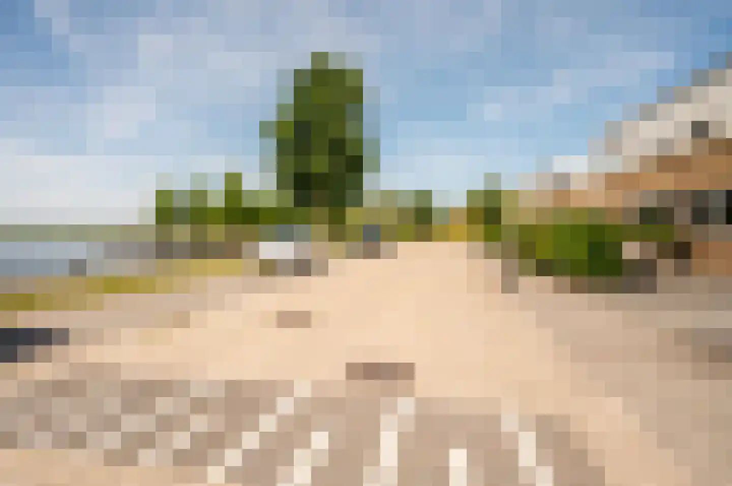 Weerribben 5 Lelystad thumbnail 43