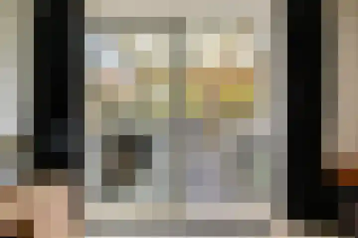 Weerribben 7 Diemen thumbnail 12