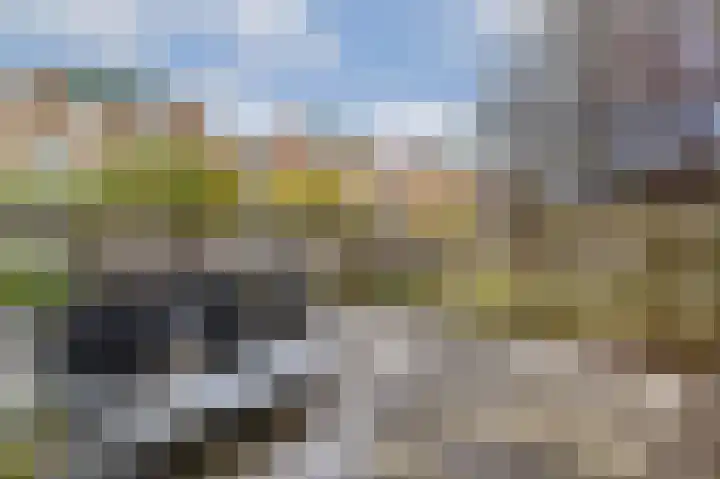 Weerribben 7 Diemen thumbnail 13