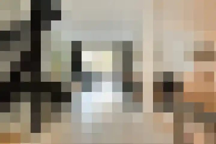 Weerribben 7 Diemen thumbnail 15