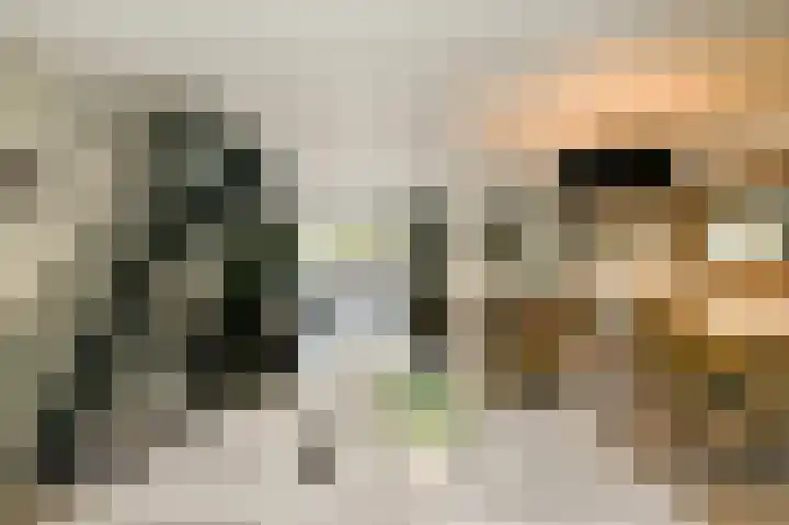 Weerribben 7 Diemen thumbnail 16