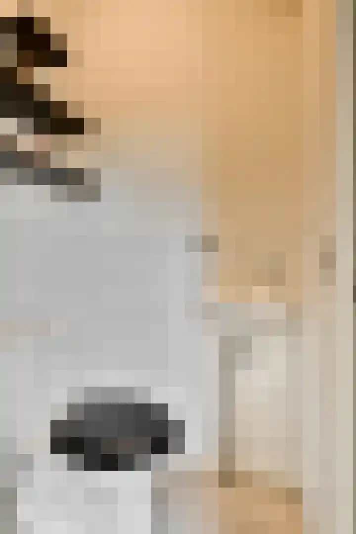 Weerribben 7 Diemen thumbnail 17