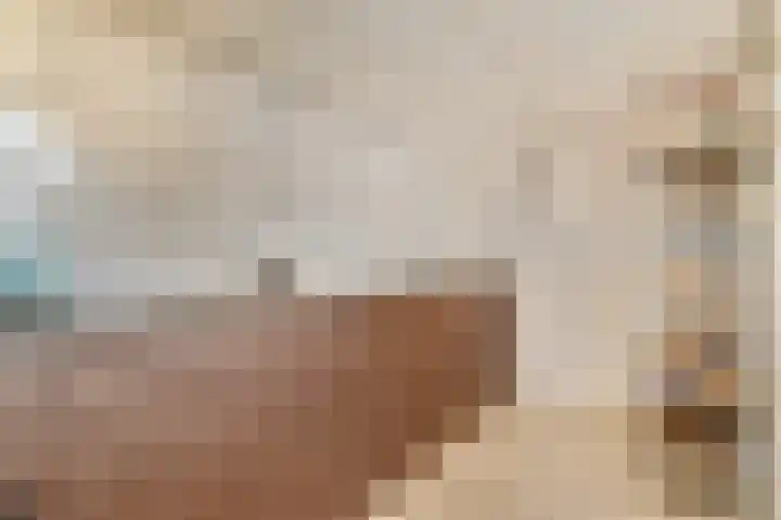 Weerribben 7 Diemen thumbnail 18