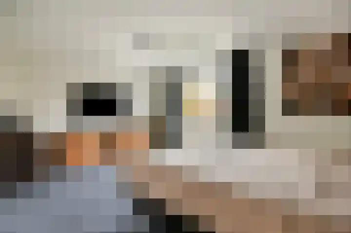 Weerribben 7 Diemen thumbnail 22