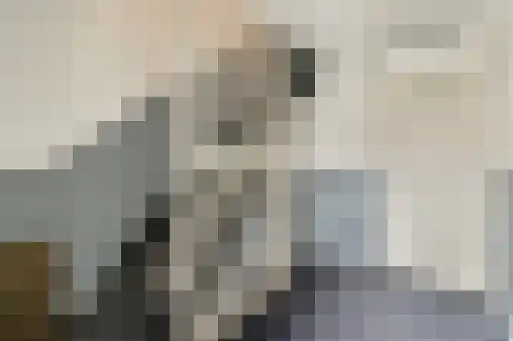 Weerribben 7 Diemen thumbnail 23