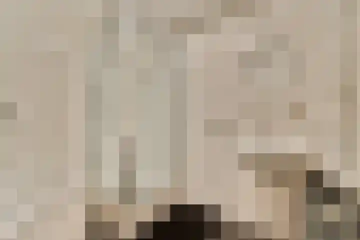 Weerribben 7 Diemen thumbnail 27
