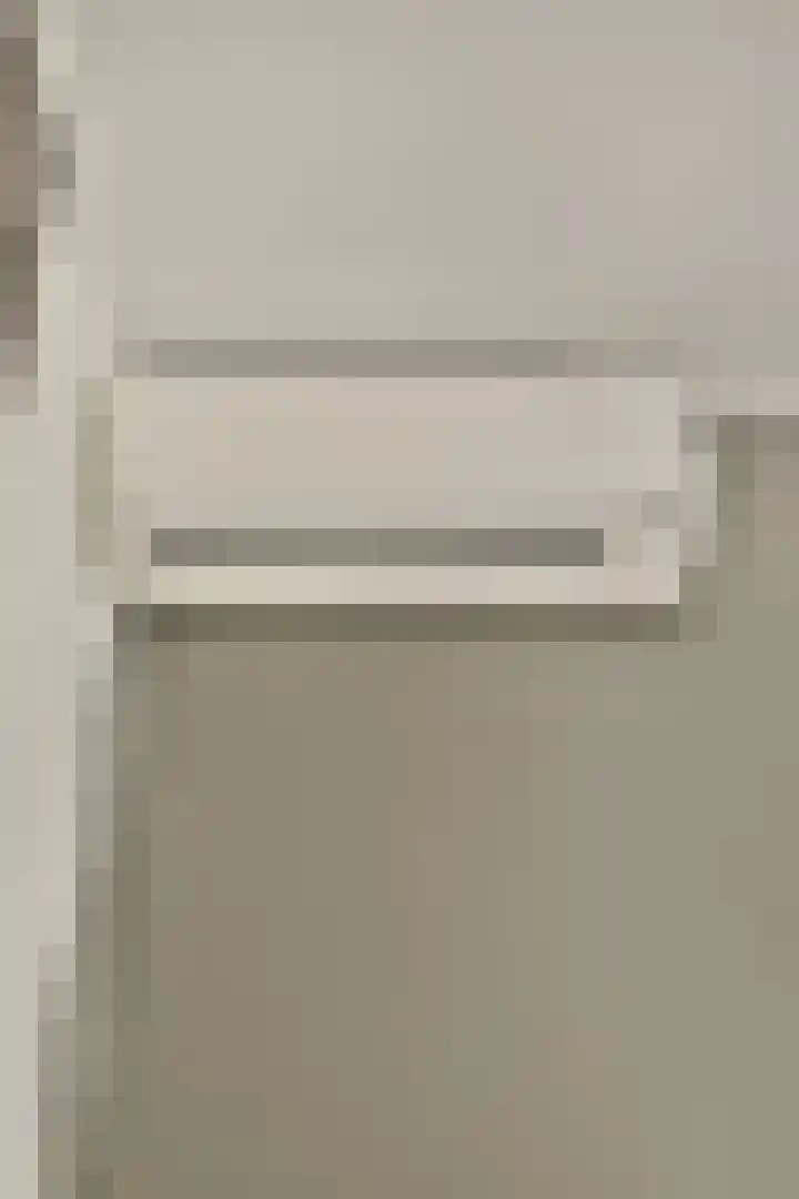 Weerribben 7 Diemen thumbnail 30