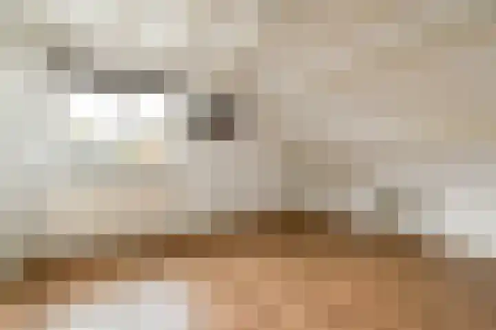 Weerribben 7 Diemen thumbnail 33