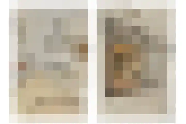Weerribben 7 Diemen thumbnail 8