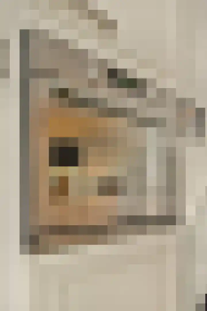 Weerribben 7 Diemen thumbnail 9