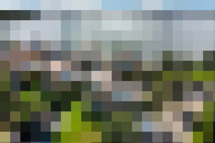 Weerribben 77 Lelystad thumbnail 36