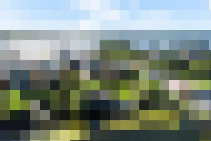 Weerribben 77 Lelystad thumbnail 37