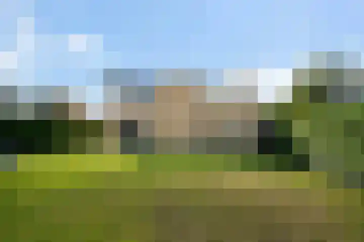 Weerribben 77 Lelystad thumbnail 38