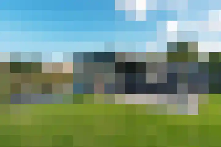 Weerribben 77 Lelystad thumbnail 41