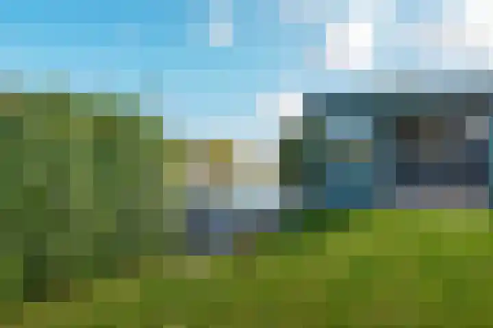 Weerribben 77 Lelystad thumbnail 42