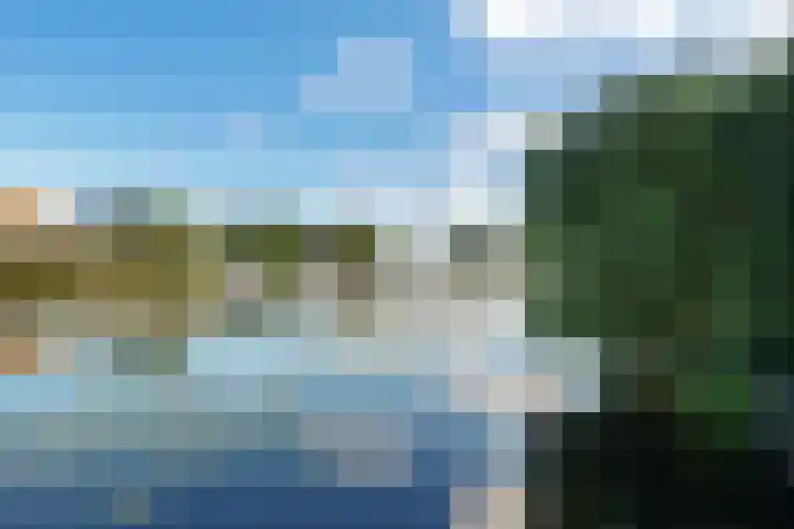 Weerribben 77 Lelystad thumbnail 43