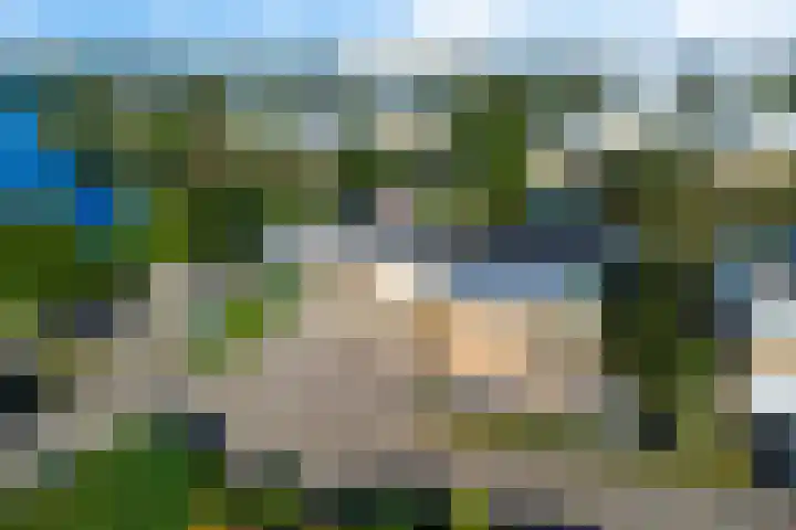 Weerribben 77 Lelystad thumbnail 46