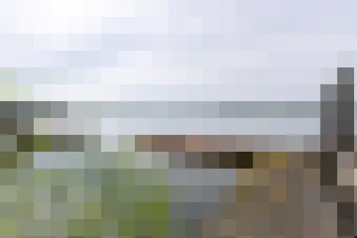 Weerribben 80 Lelystad thumbnail 25