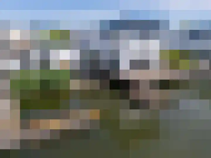 Weerribben 80 Lelystad thumbnail 64